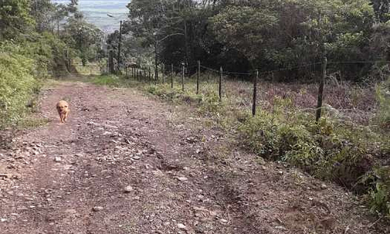 Vendo O Permuto Lote...