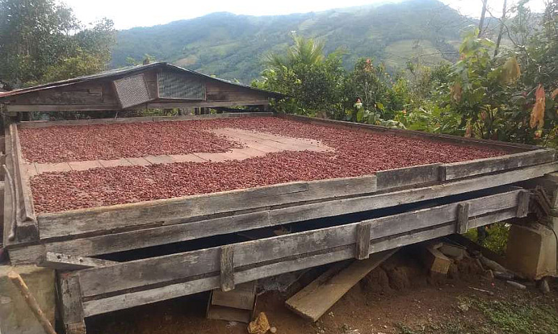 Venta Finca Chocolat...