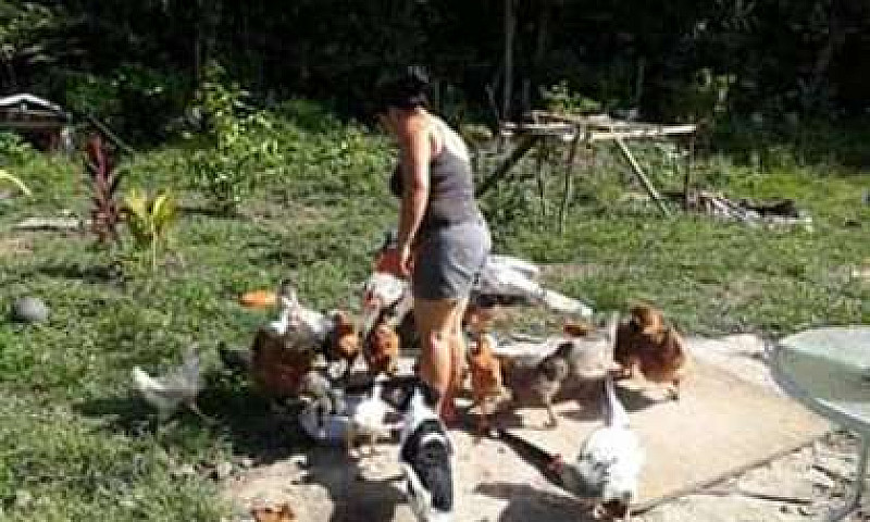 Ganga Vendo Casa Esq...