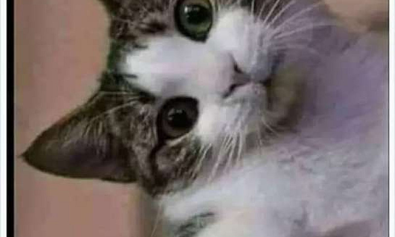 Arriendo Habitacion ...