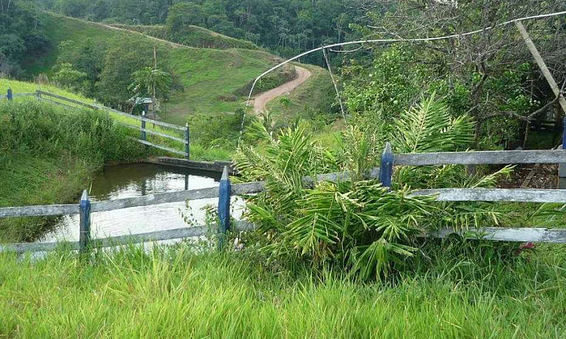 Hacienda Ganadera Pu...