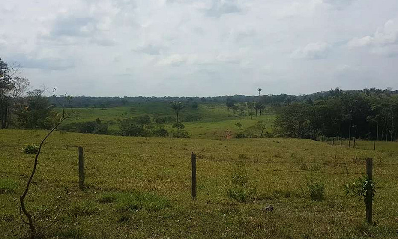 Vendo Finca A 1 Hora...