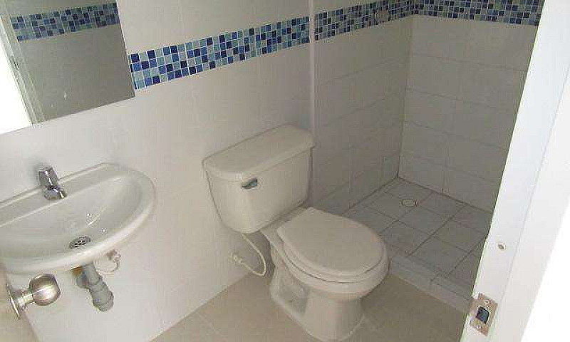 Conjunto Arauco Amar...
