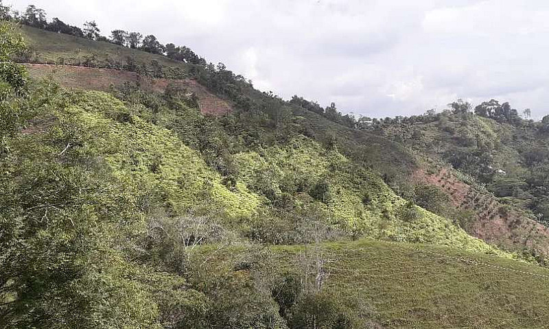 Vendo Finca De 18 Ha...