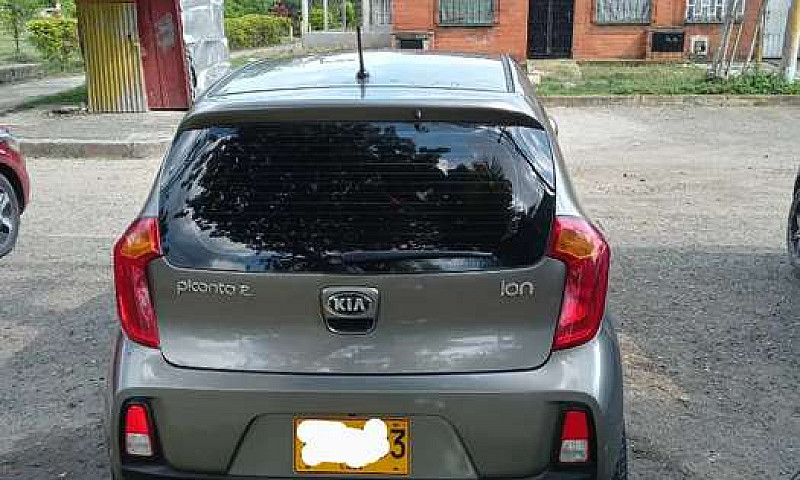 Picanto Suma...