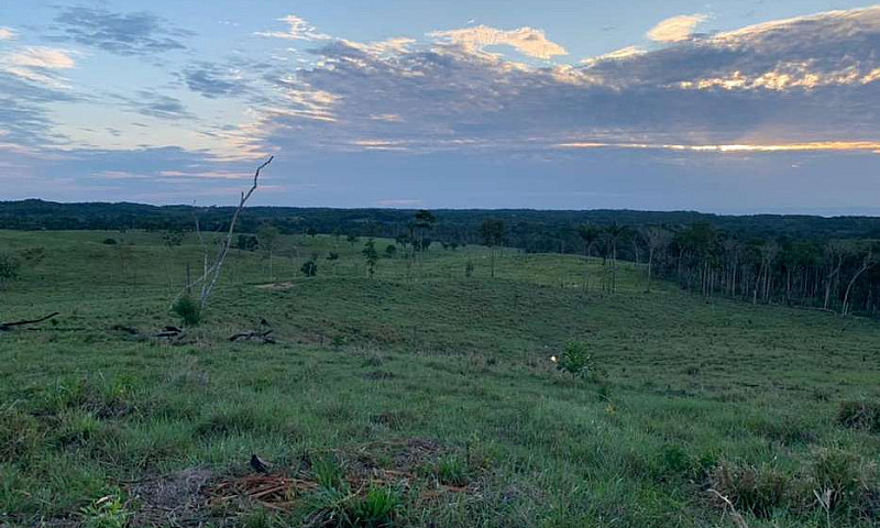 Se Vende Finca En Pt...