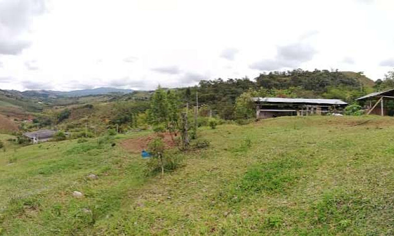 Finca Cafetera Casa ...