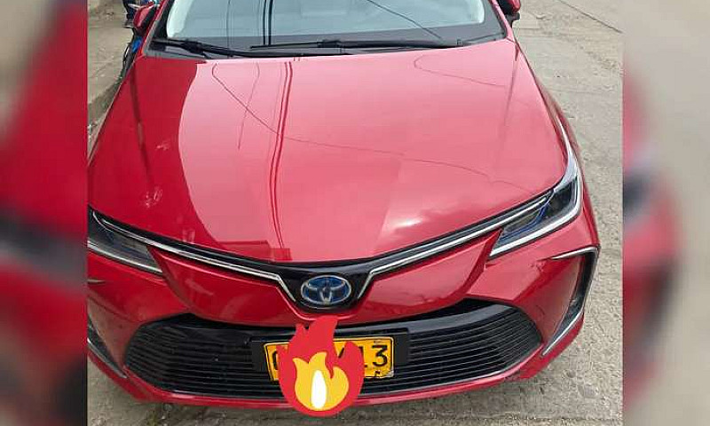 Corolla Hibrido...