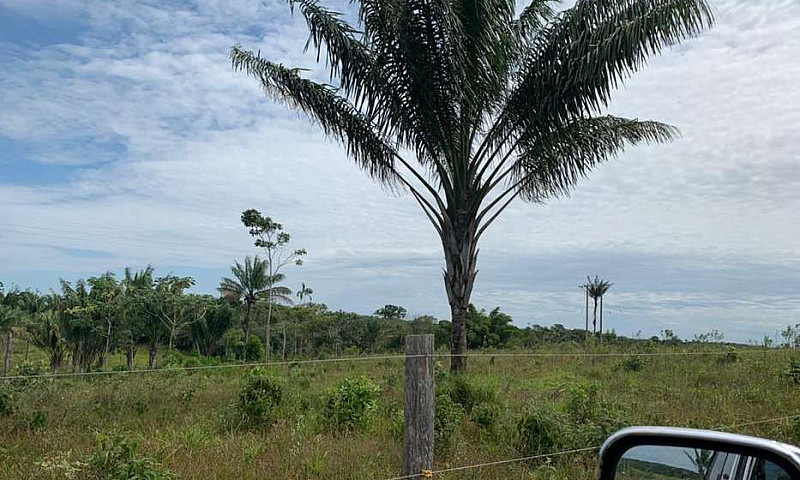Se Vende Finca En Pt...