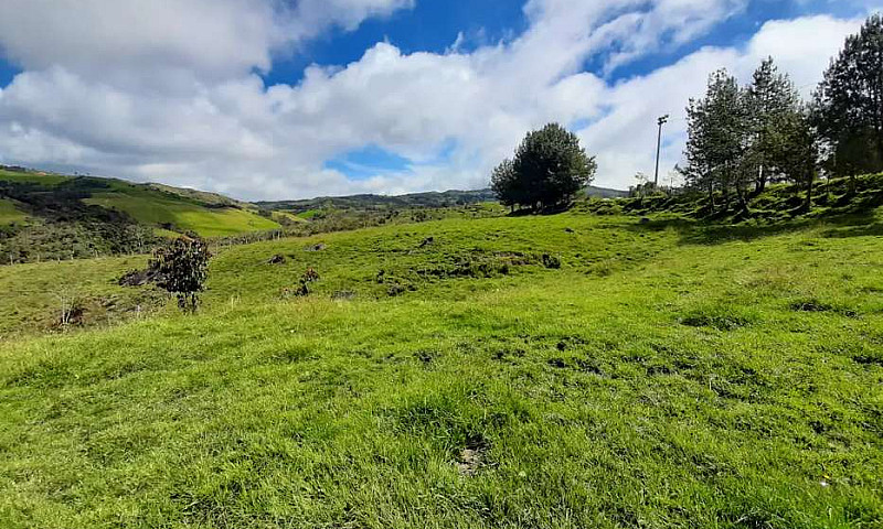 Venta De Lotes En Sa...