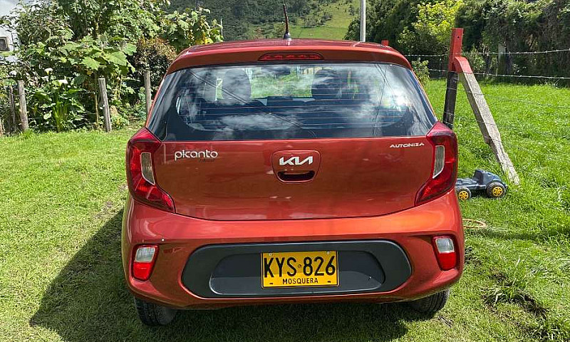 Kia Picanto Vibrant ...