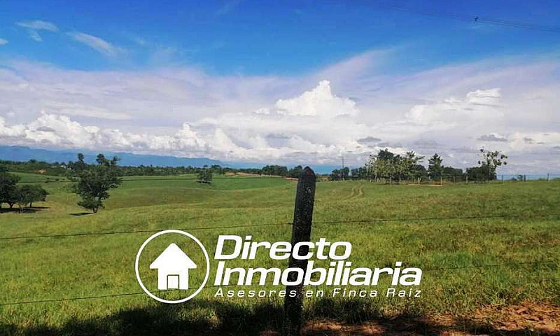 Finca En Venta En Ba...