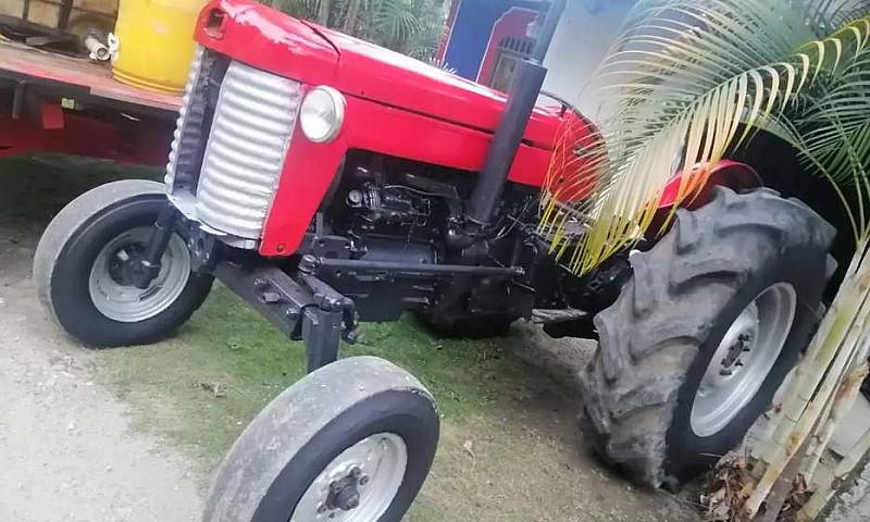 Vendo Tractor Mf 65...