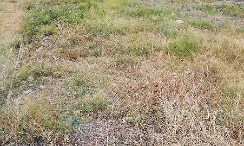 Vendo Lotes Barrio R...