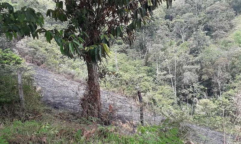 Vendo Finca De 18 Ha...