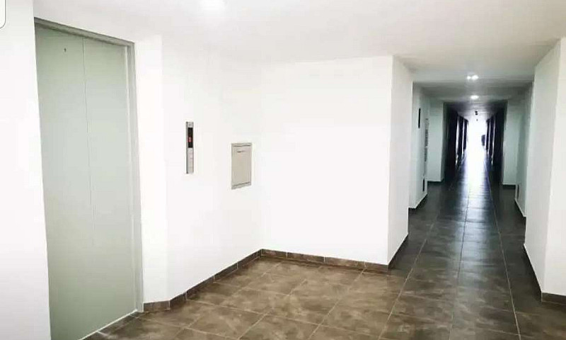 Arriendo Aparta Estu...