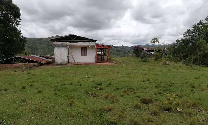 Finca Cafetera Casa ...