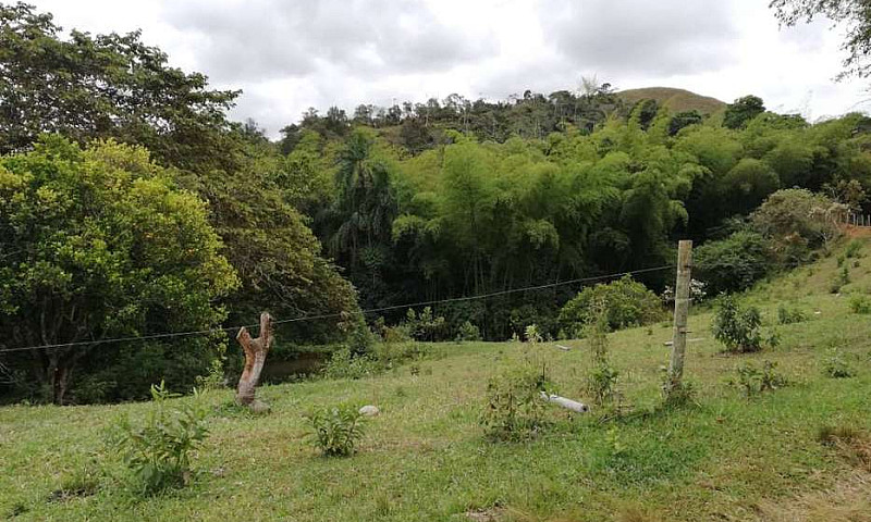 Finca Cafetera Casa ...