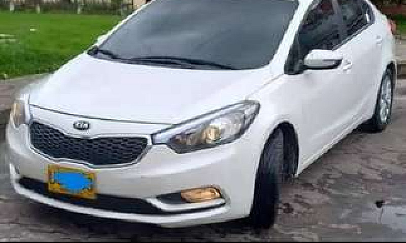 Cerato Pro Mod  2015...