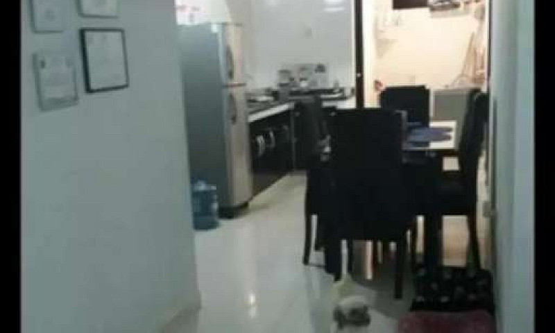 Permuto O Vendo Apar...