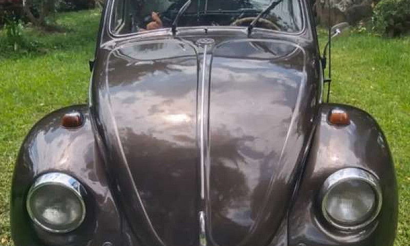 Hermoso Vw  Escaraba...