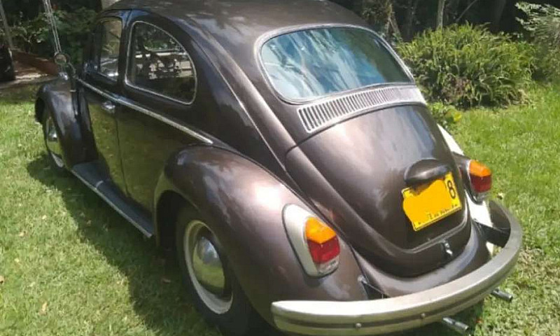 Hermoso Vw  Escaraba...