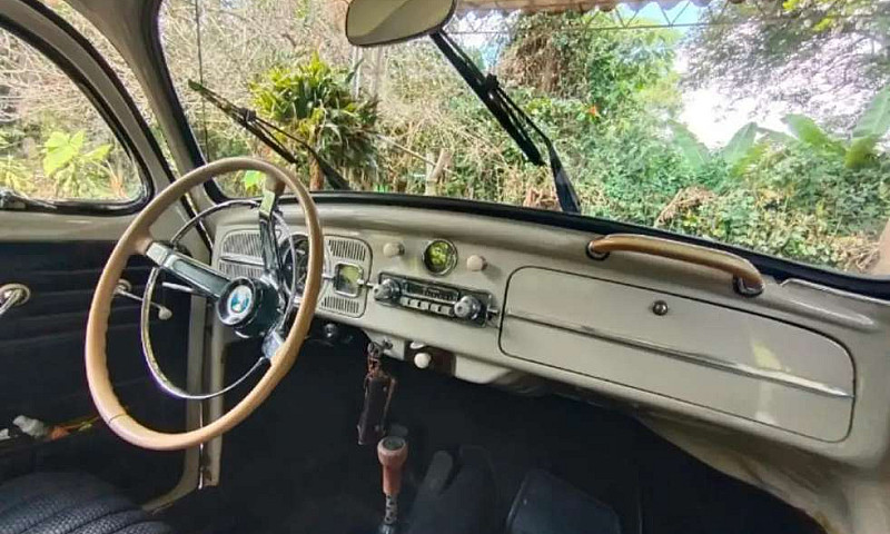 Hermoso Vw  Escaraba...