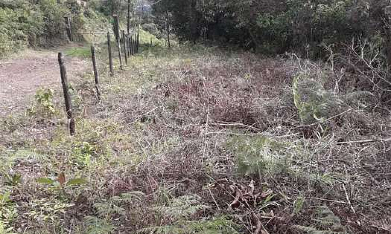 Vendo O Permuto Lote...