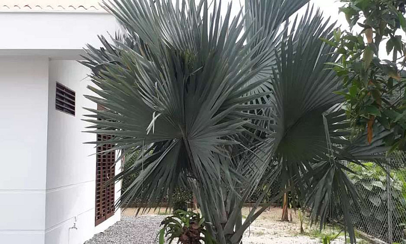 Vendo Casa Campestre...