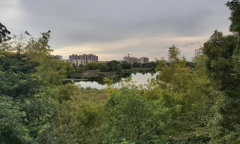 Apartamento En Arrie...