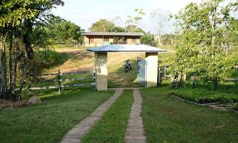 Hacienda Ganadera Pu...