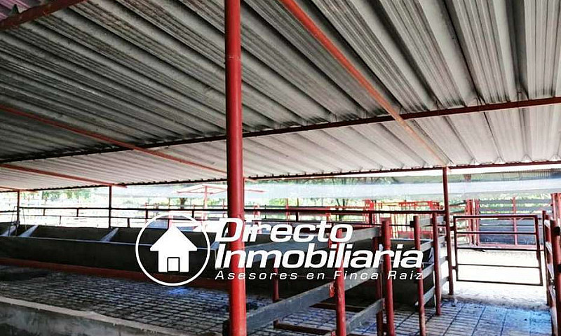 Finca En Venta En Ba...