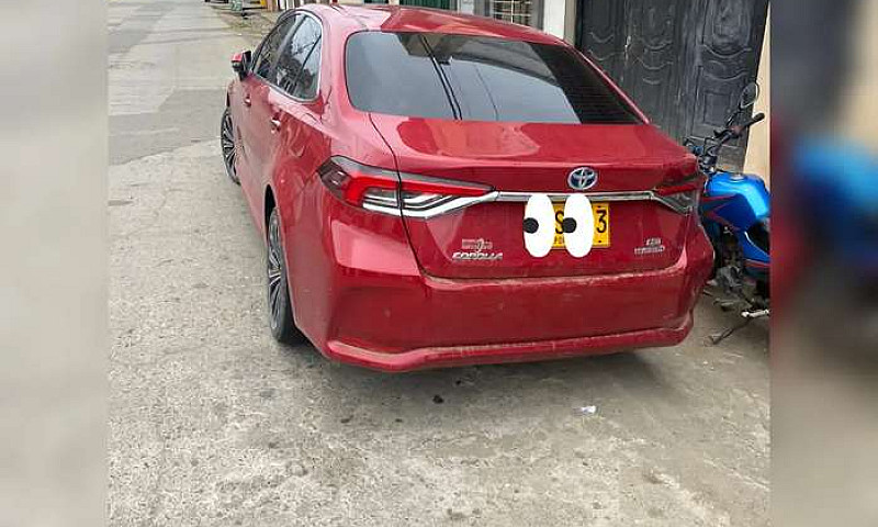 Corolla Hibrido...
