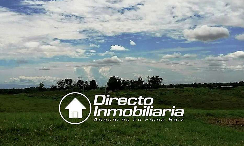 Finca En Venta En Ba...