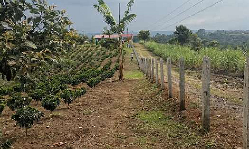 Vendo Linda Finca...