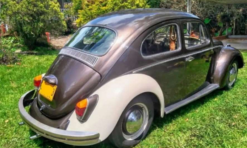 Hermoso Vw  Escaraba...