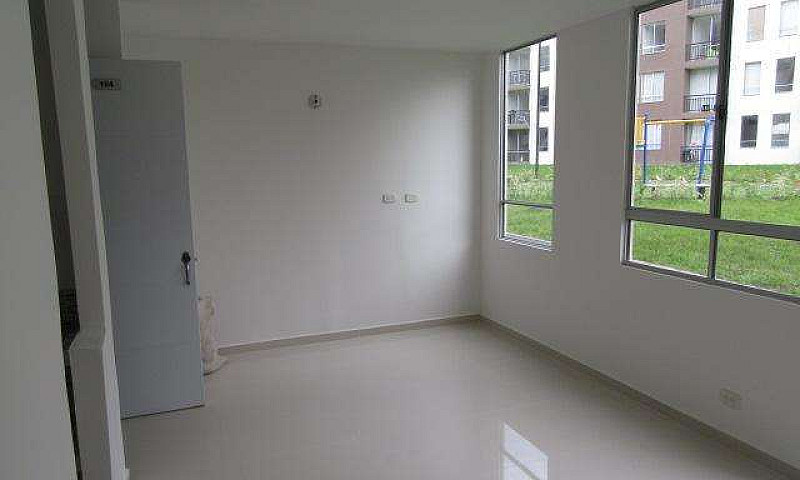 Conjunto Arauco Amar...