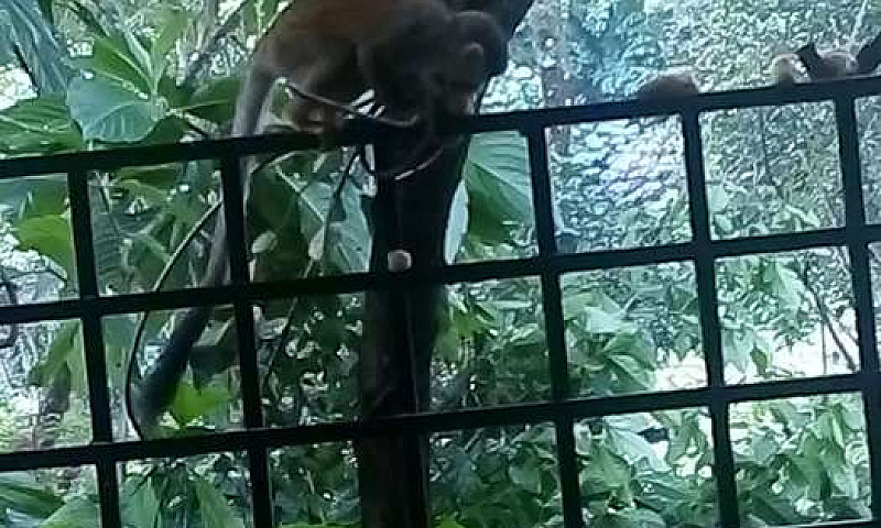 Vendo Casa...