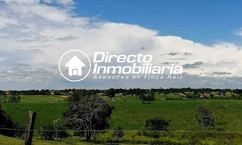 Finca En Venta En Ba...