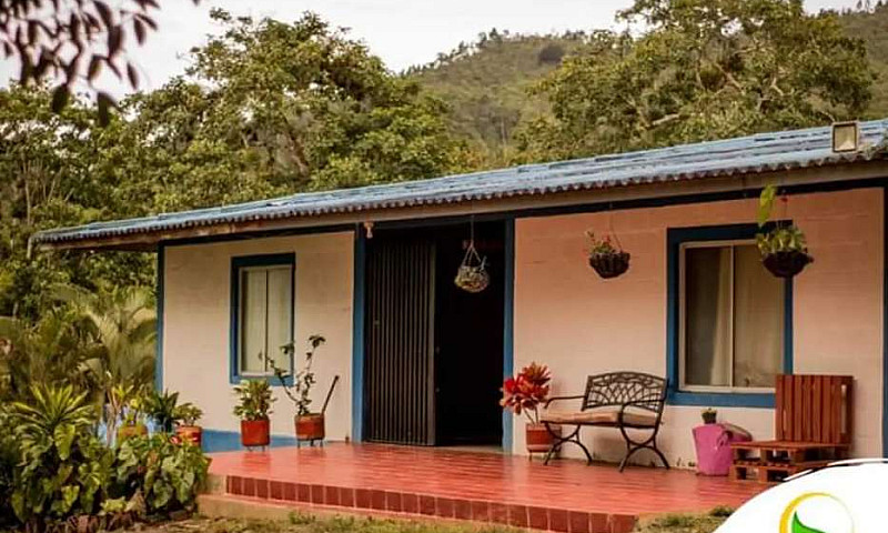 Alquilo Finca *( La ...