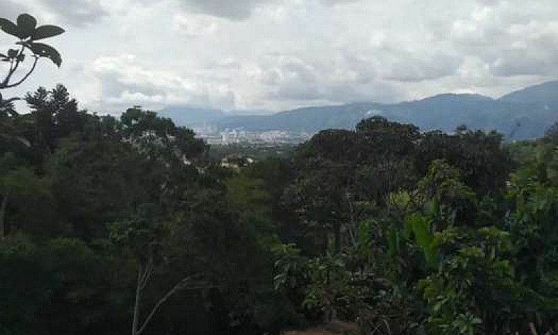 Se Vende Finca Bien ...