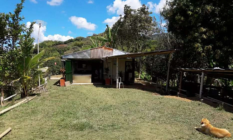 Se Vende Finca...