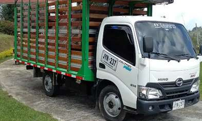 Se Vende Hino 300 Du...