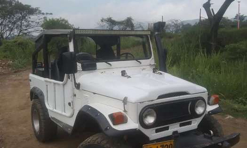 Vendo Toyota Fj40, M...