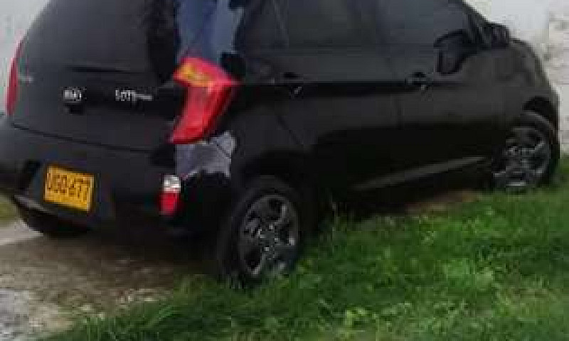 Kia Picanto 1204...