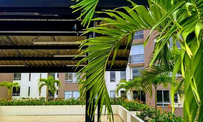 Arriendo Apartamento...