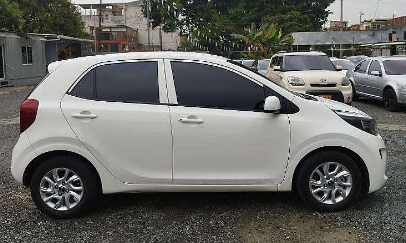 Kia Picanto Vibrant ...