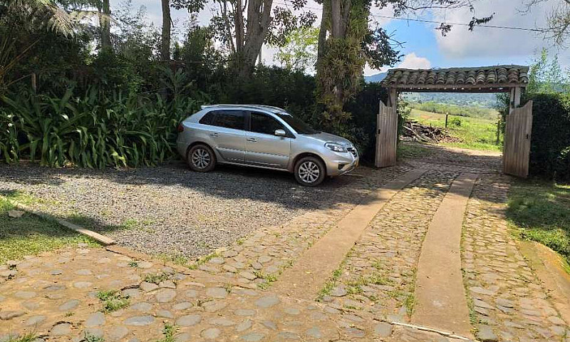 Koleos Dynamique Ren...