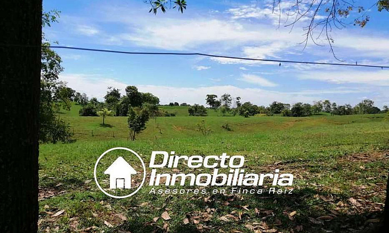 Finca En Venta En Ba...