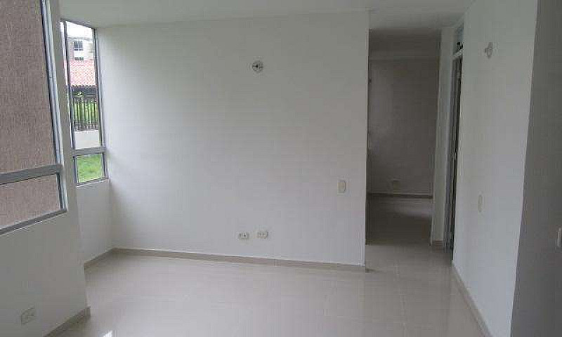 Conjunto Arauco Amar...